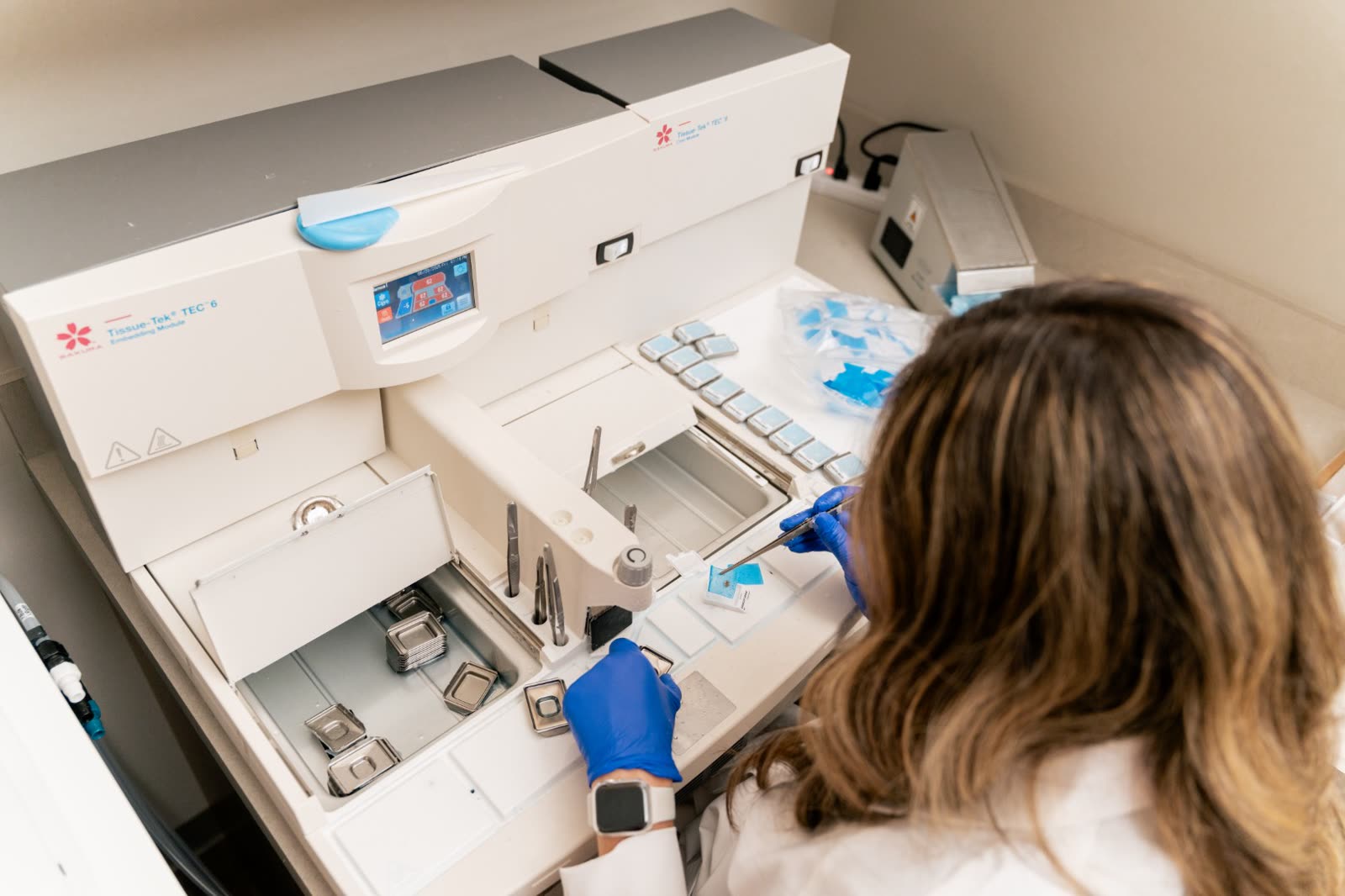 Our histology team preparing tissue in the lab